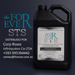 STS