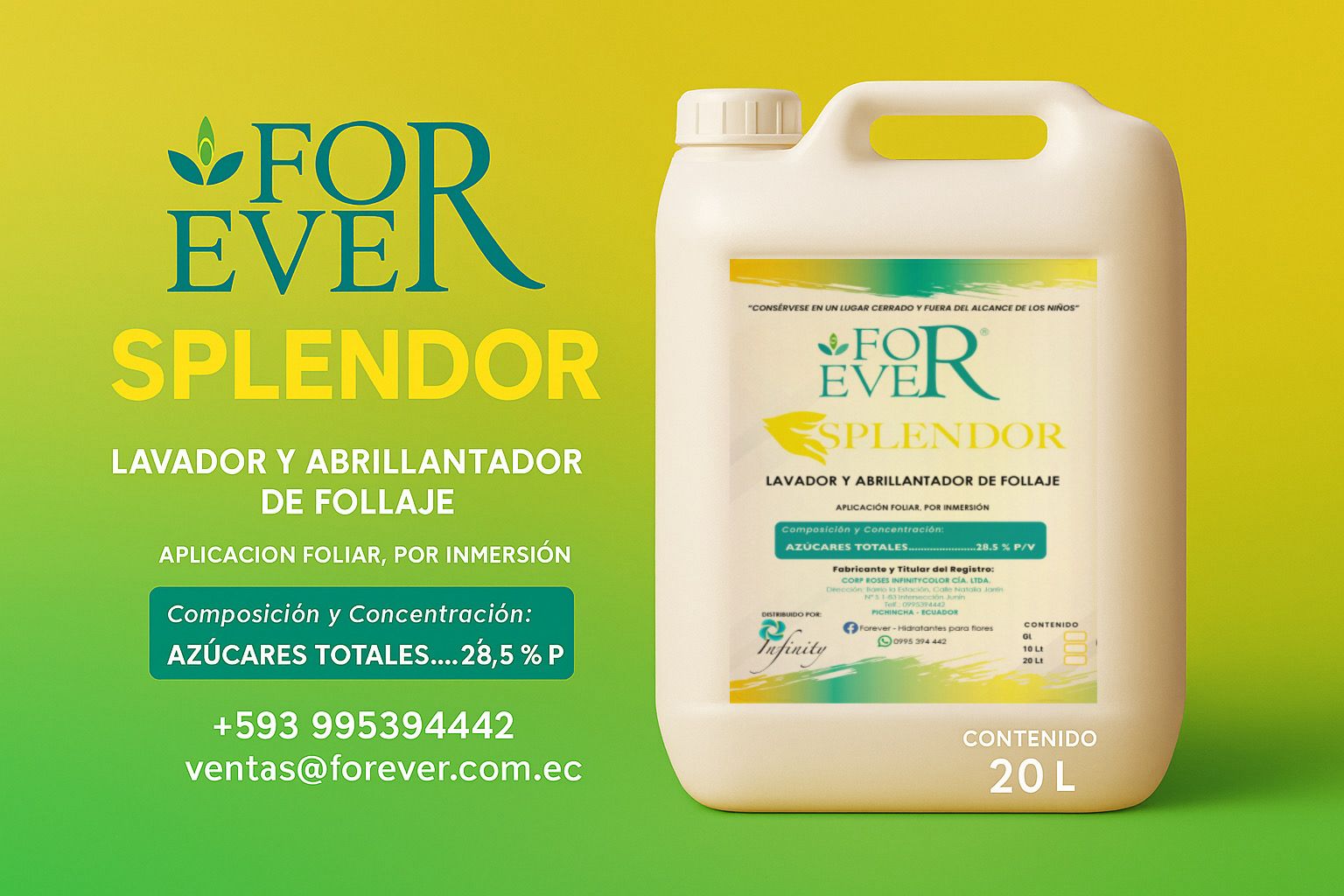 SPLENDOR - Imagen 6