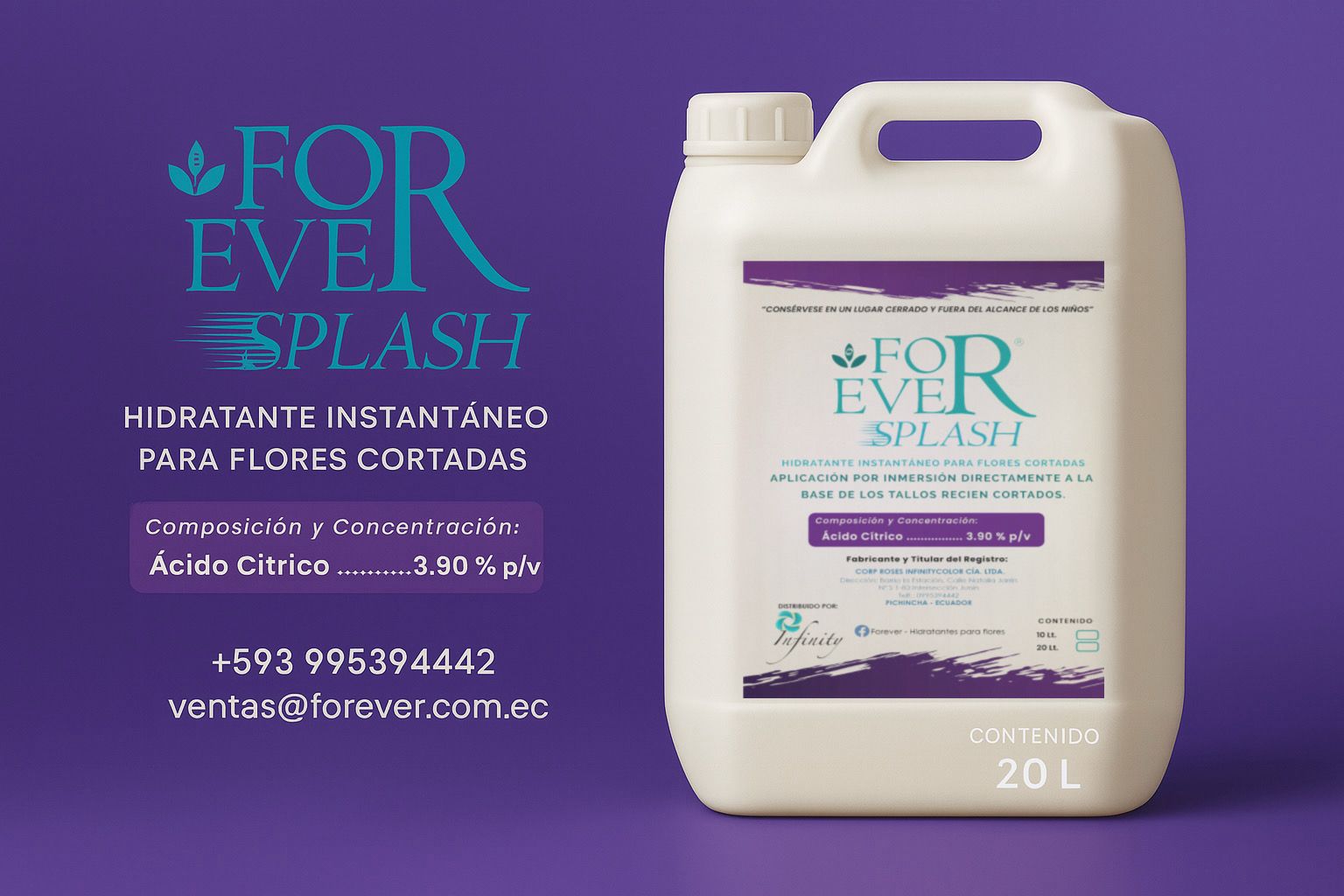 SPLASH - Imagen 6